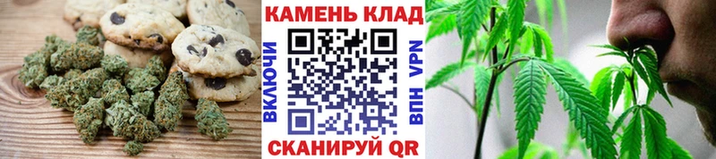 Купить где  Партизанск  Canna-Cookies конопля 
