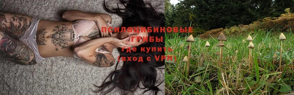 гашик Магадан