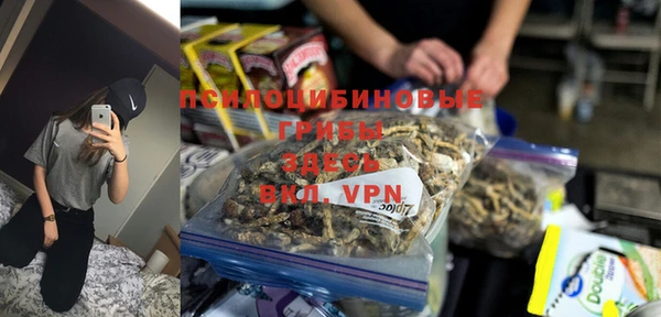 гашик Магадан