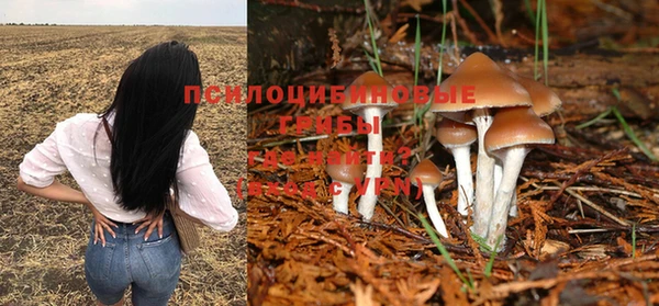 гашик Магадан